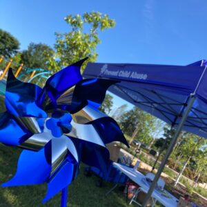 Box of Pinwheels (PREORDER)